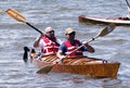 Chesapeake Double & Triple image 0