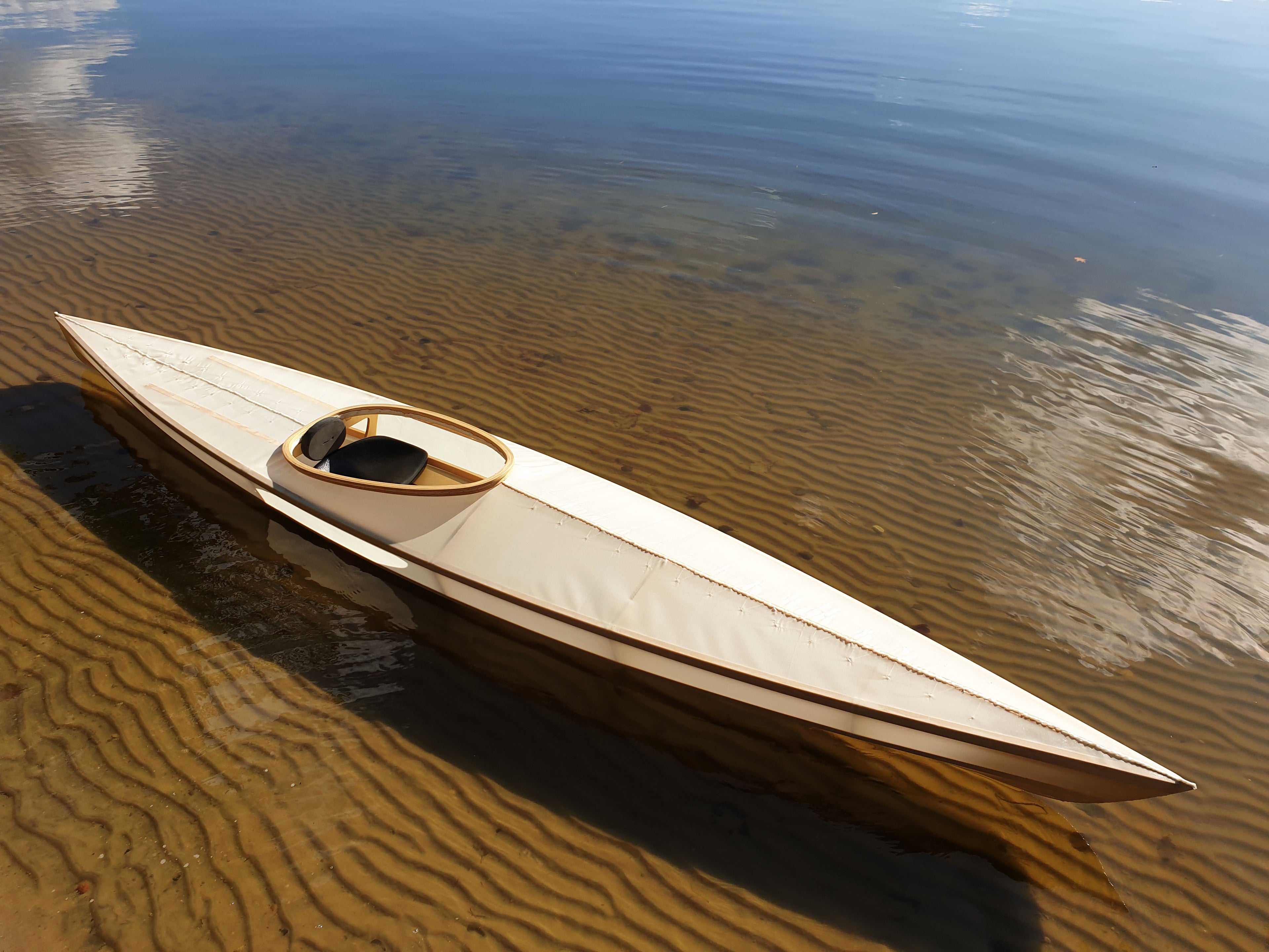Beluga (Skin on Frame) image 6