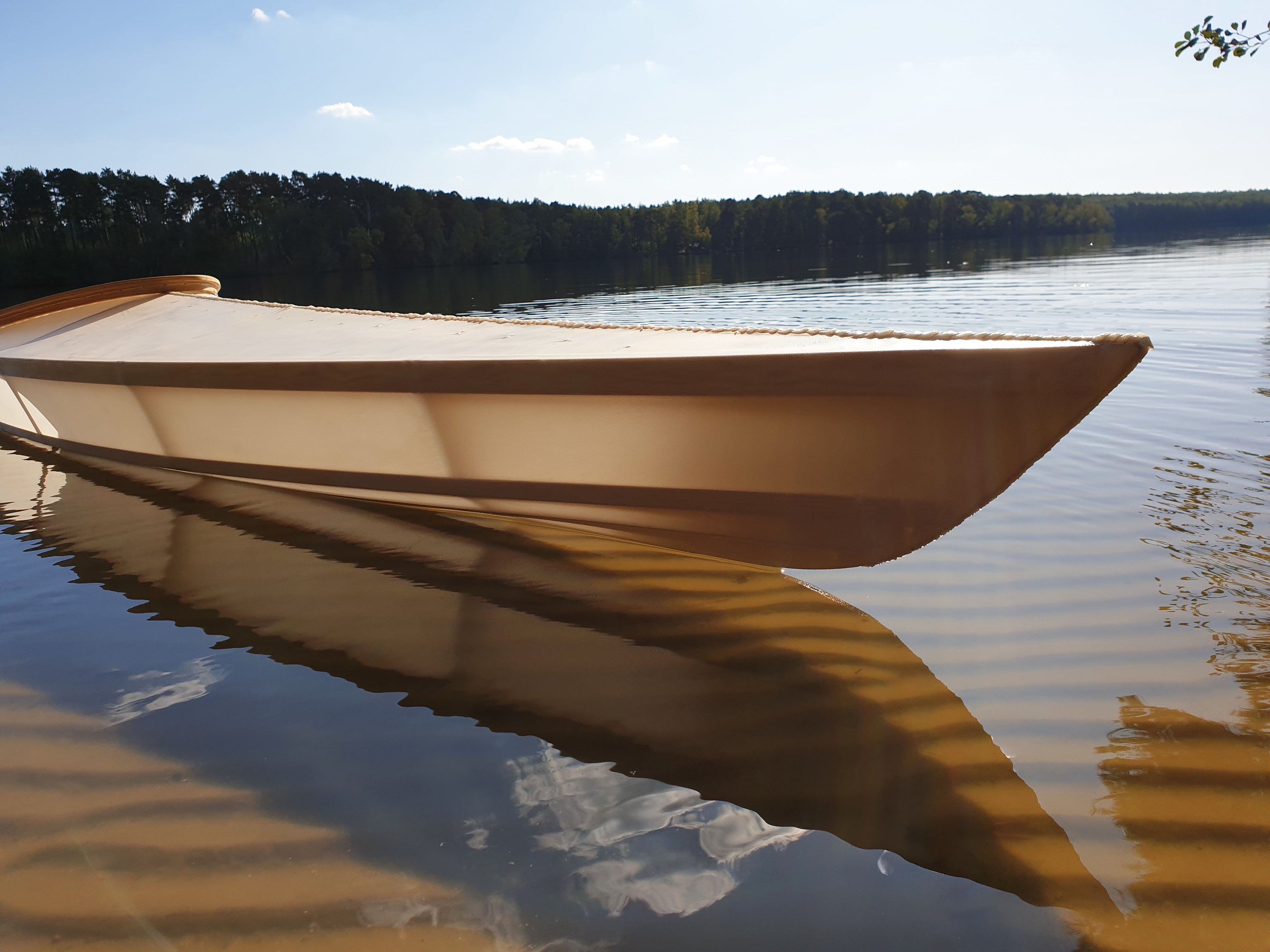 Beluga (Skin on Frame) image 7